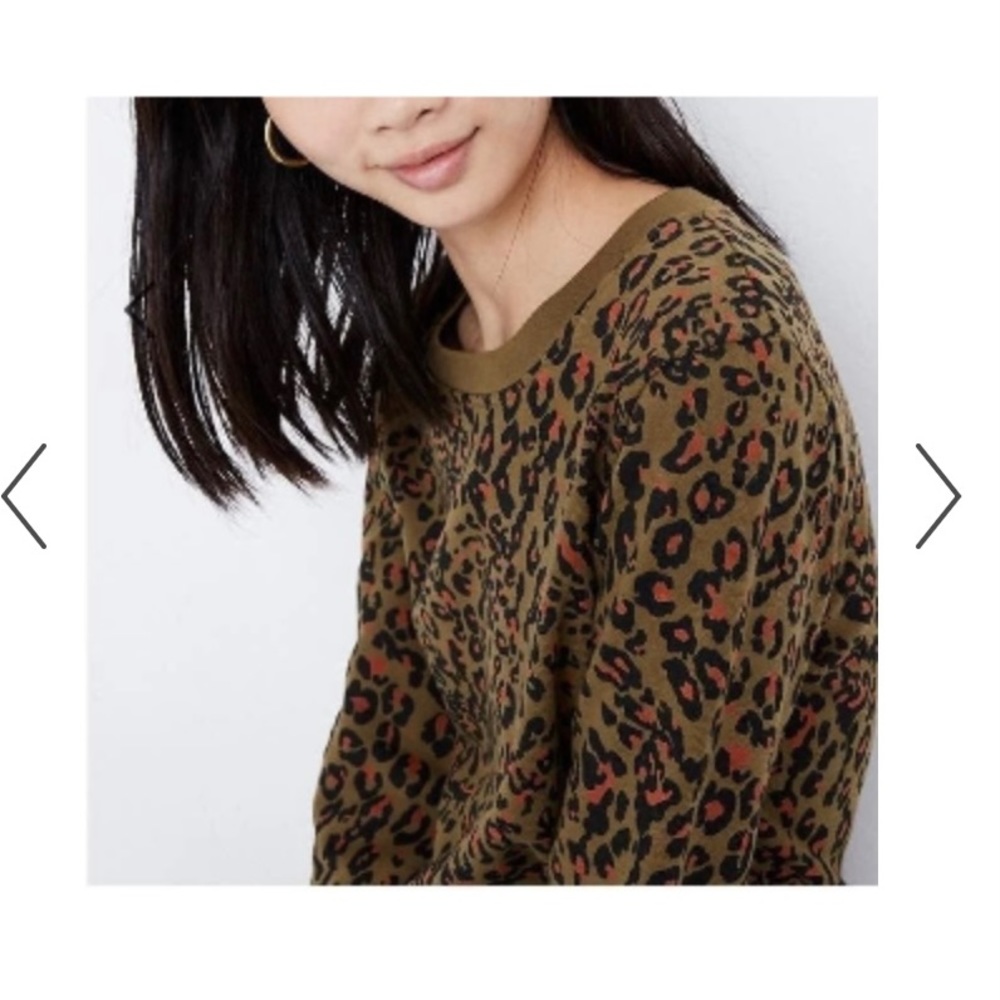Madewell banded sweatshirt in jungle cat.